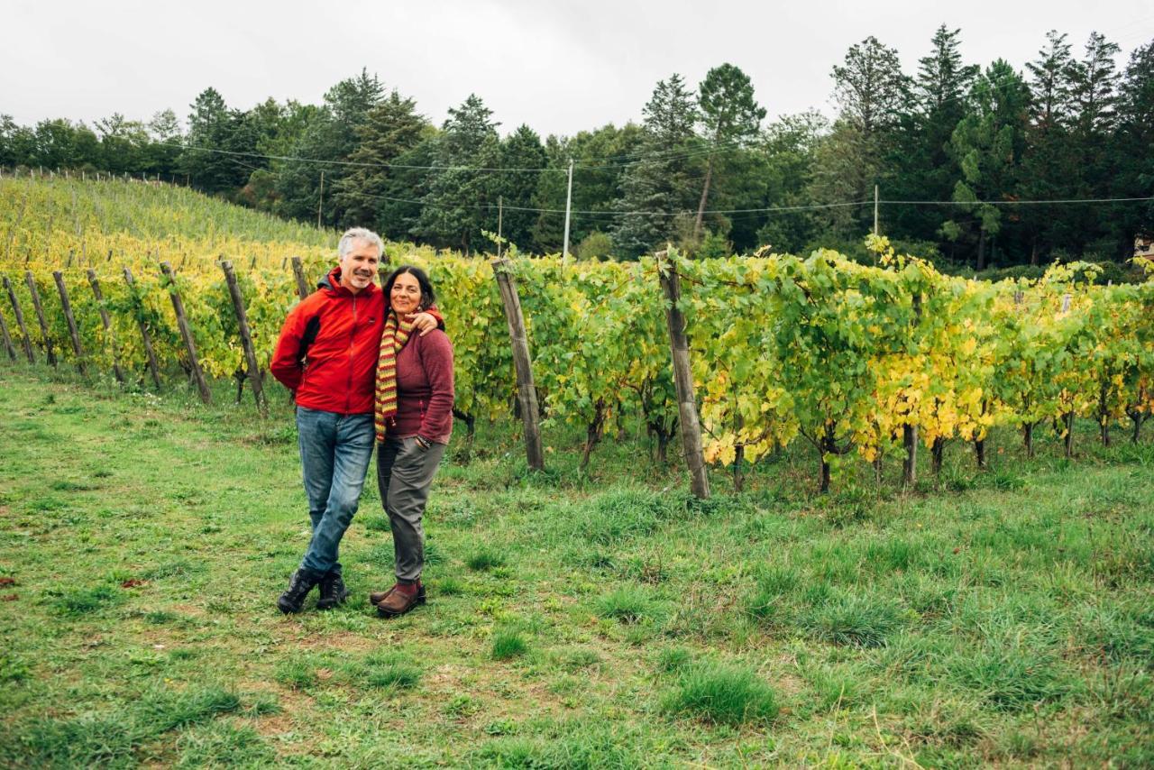 Podere Orto Wine Country House Trevinano Buitenkant foto