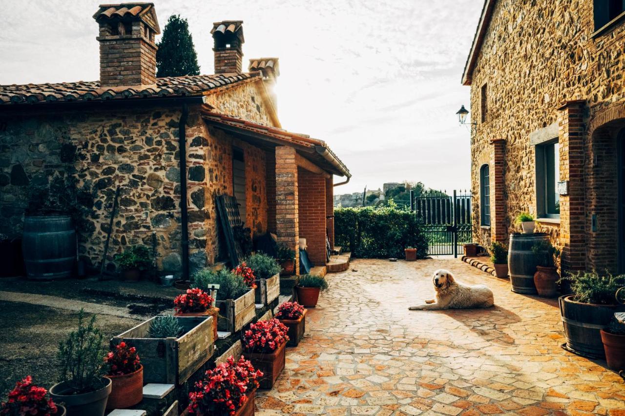 Podere Orto Wine Country House Trevinano Buitenkant foto
