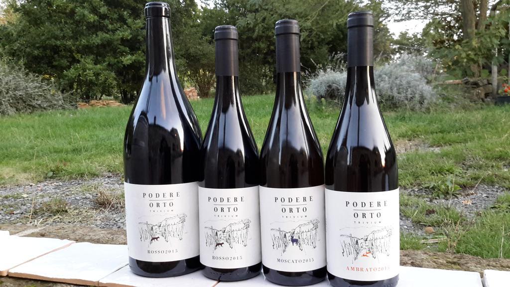 Podere Orto Wine Country House Trevinano Buitenkant foto